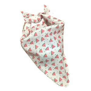 NWOT Pet Bandana - Watermelon Print